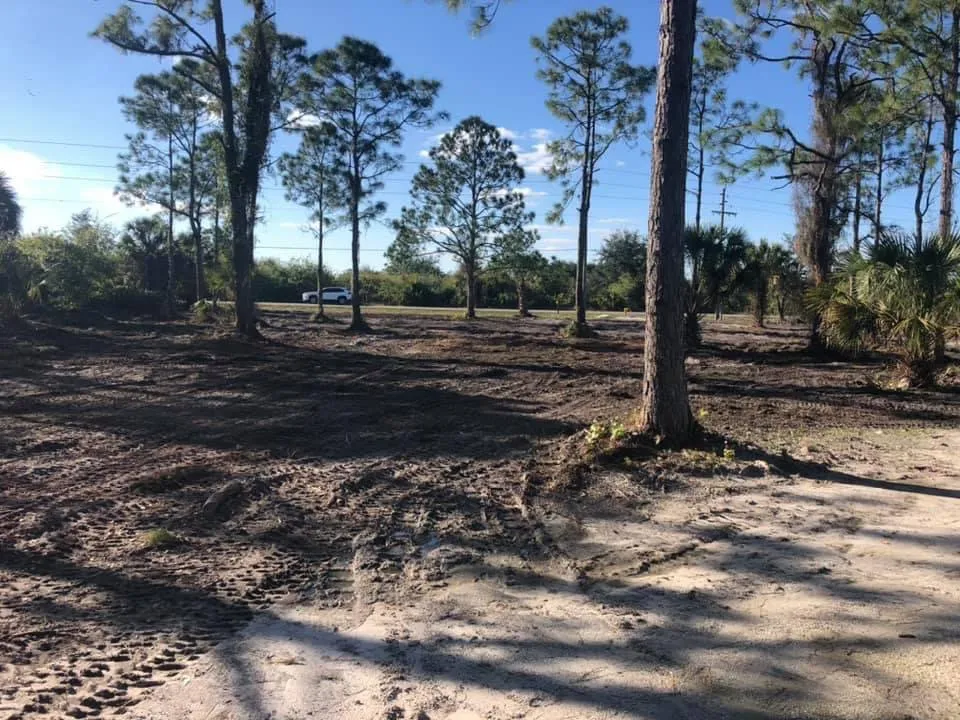 Trusted outdoor landscaping in DeBary, FL - Flora Land Solutions