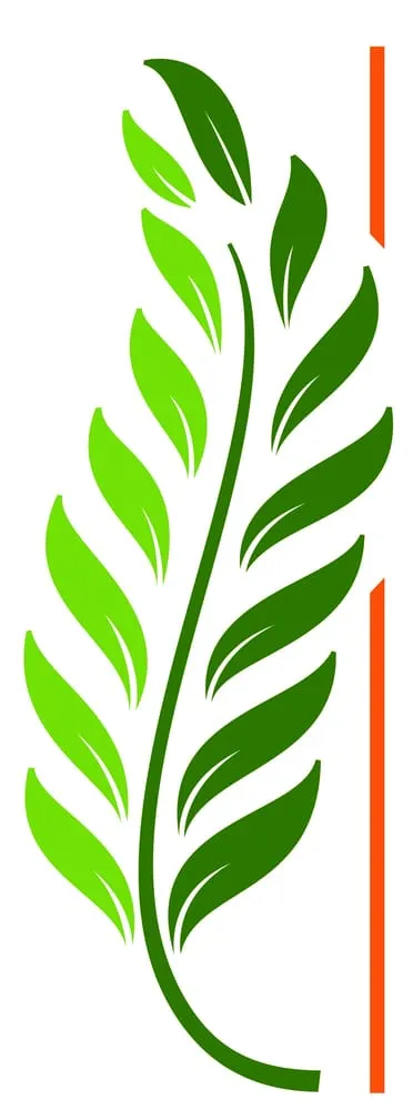 Top-rated yard maintenance in Wilmington, NC - Flora Landscapes