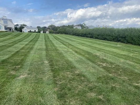 Flora Lawn & Landscaping Logo