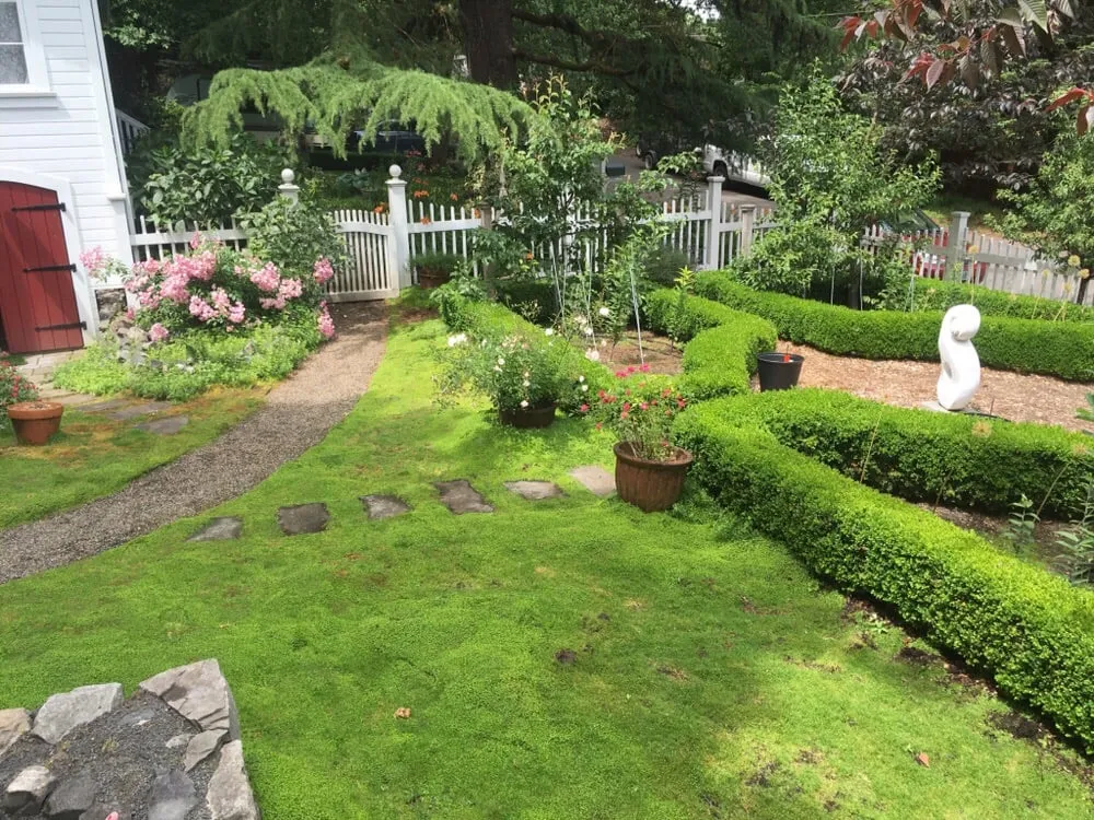 Local landscape design experts serving Portland, OR - Flora Organic Landscape Maintenance