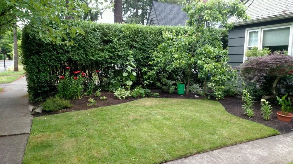 Custom landscaping services for year-round maintenance in Portland, OR by Flora Organic Landscape Maintenance