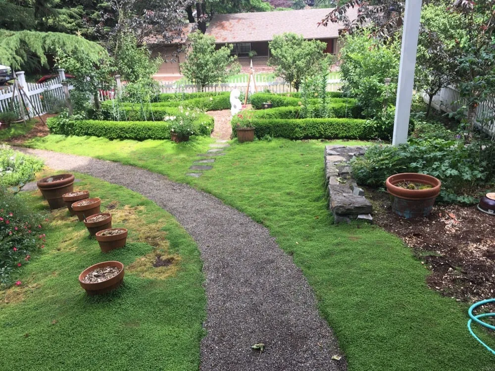 Custom garden landscaping for outdoor upgrades in Portland, OR by Flora Organic Landscape Maintenance