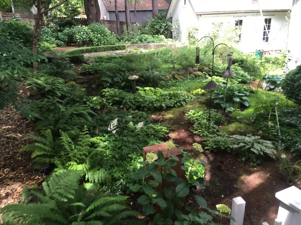 Expert yard maintenance in Portland, OR - Flora Organic Landscape Maintenance