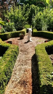 Flora Organic Landscape Maintenance Logo