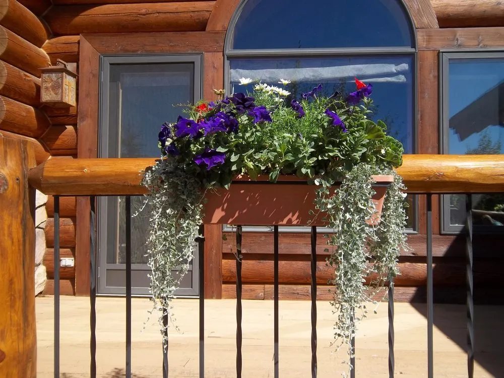 Trusted yard cleanup service experts serving Colorado Springs, CO - Floral Gardening