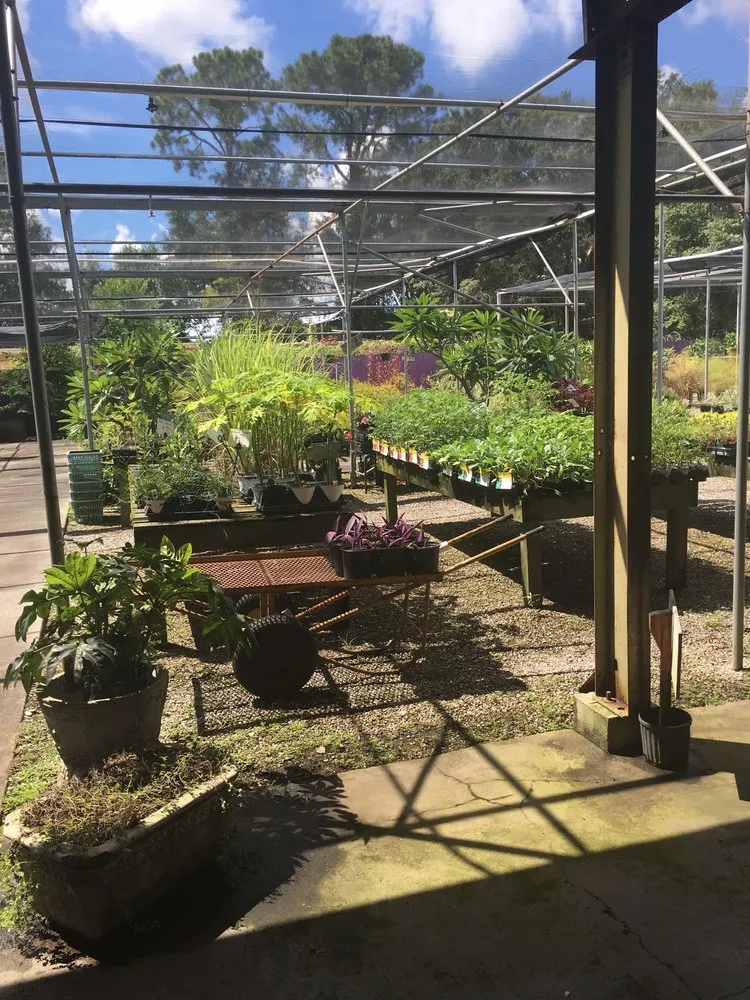 Affordable lawn care service in Pensacola, FL by Floral Tree Gardens