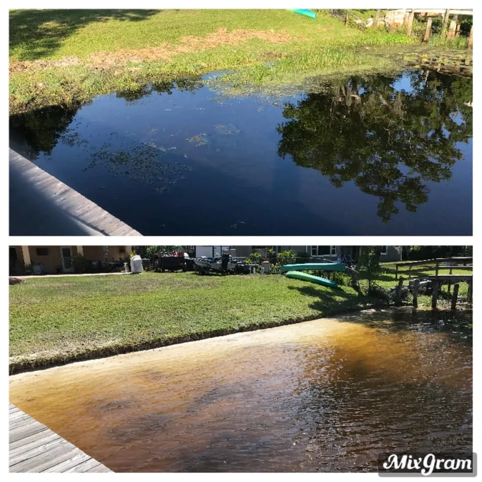 Reliable landscaping services near you across Odessa, FL - Florascape Aquatics