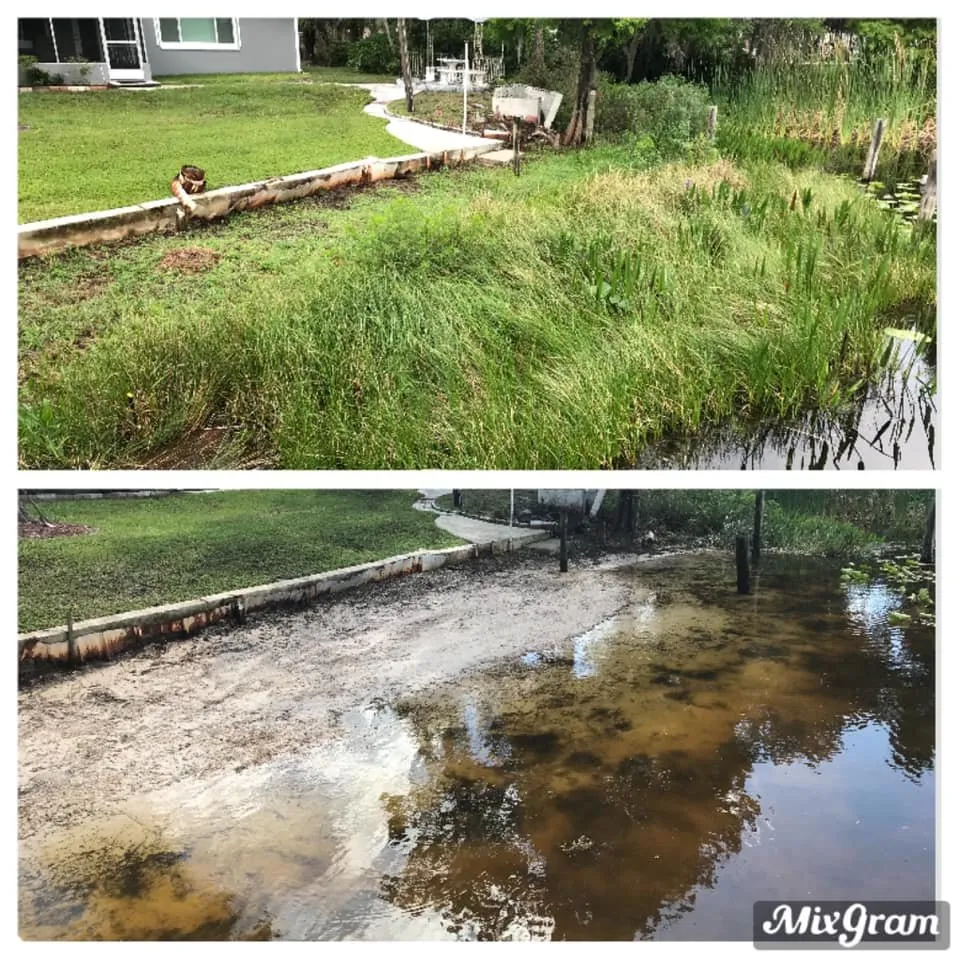 Custom landscape design for year-round maintenance across Odessa, FL - Florascape Aquatics