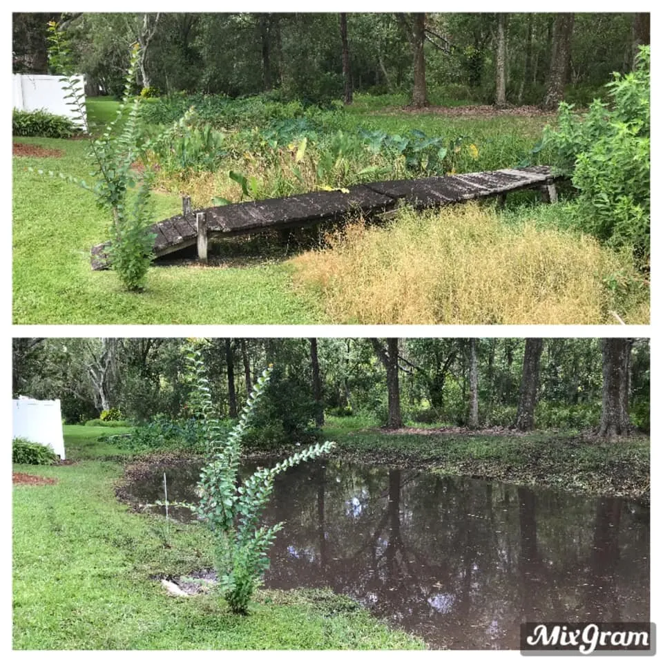 Top-rated garden landscaping in Odessa, FL by Florascape Aquatics