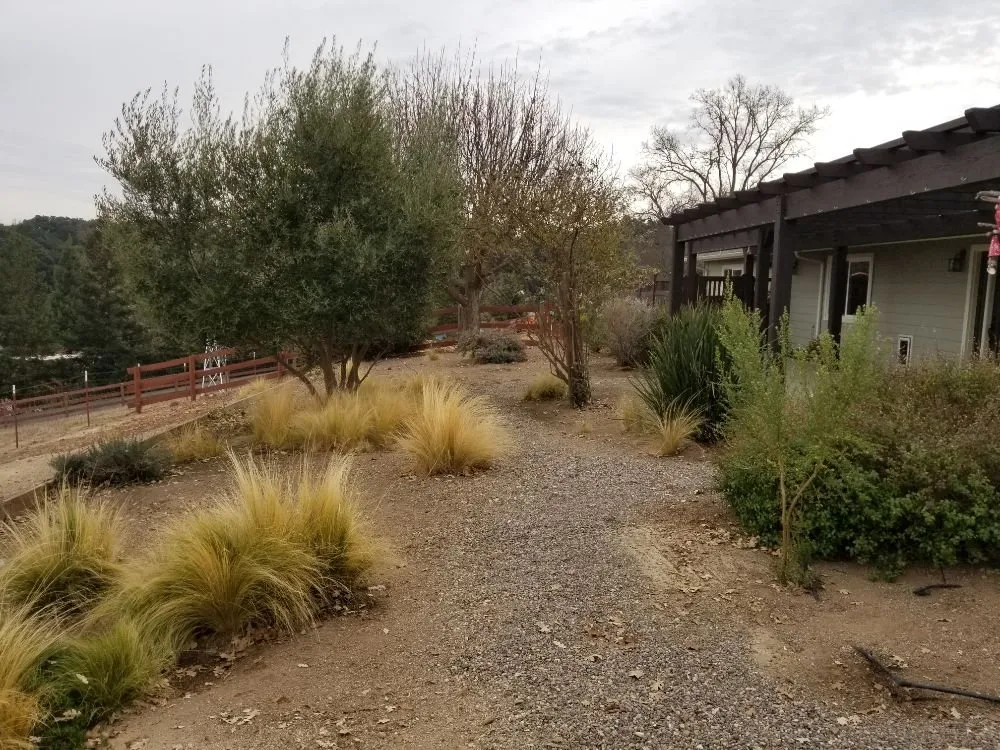 Local residential landscaping for homes across Nipomo, CA - Florascape