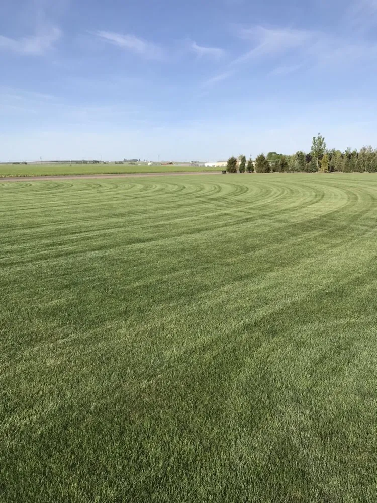 Professional residential landscaping for homes in Pasco, WA by Florascapes West