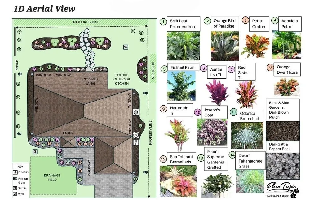 Professional lawn care service for homes across Port Charlotte, FL - Floratropic Landscape And Design