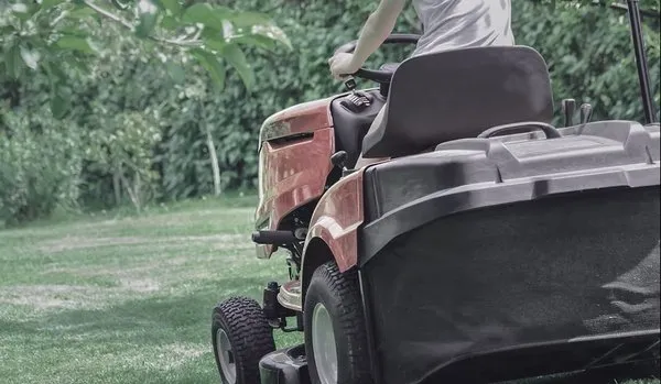 FloraVista Landscape