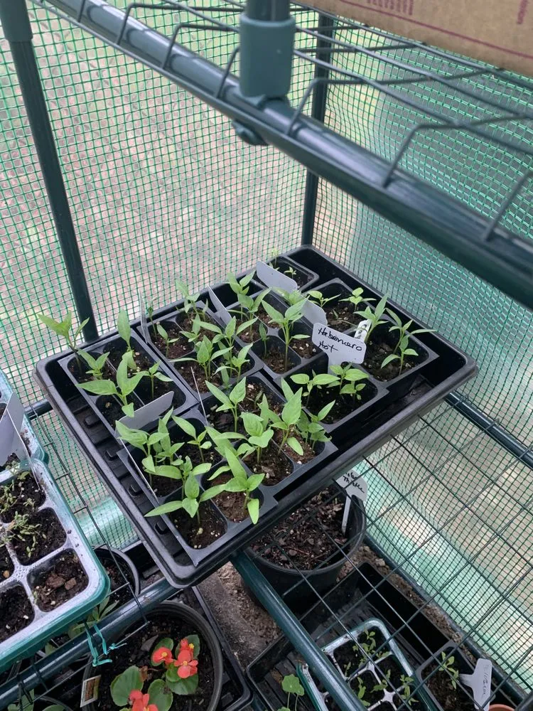 Custom garden landscaping in Richmond, VA by Floree Kulture