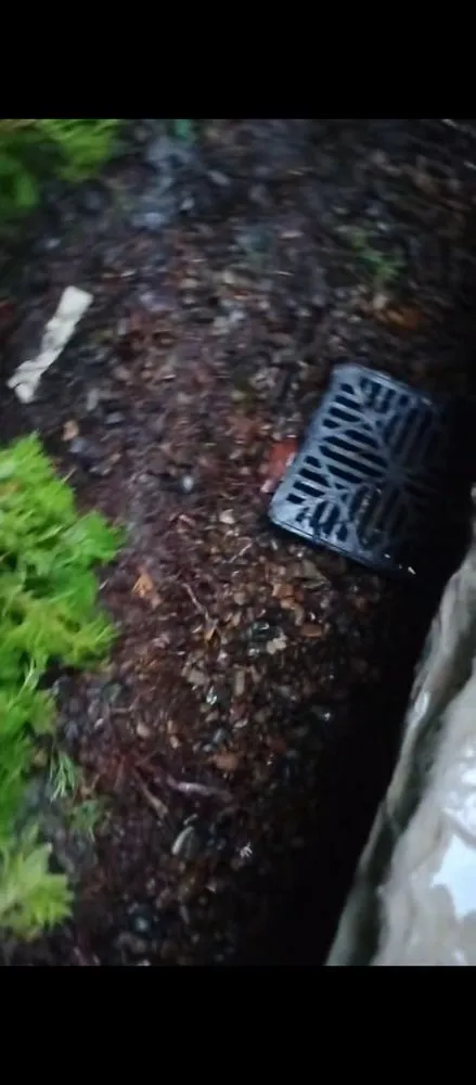 Affordable lawn mowing service in Hillsboro, OR by Florence Landcare