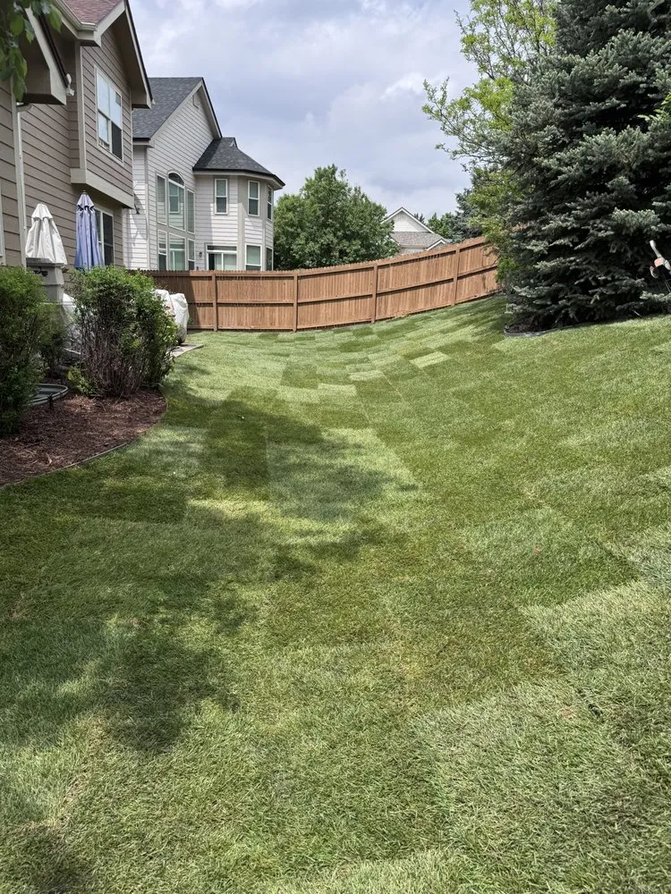 Custom landscaping services for year-round maintenance across Aurora, CO - Florencia’s Family Landscaping