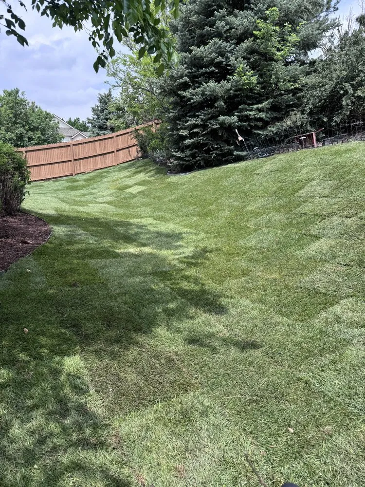 Trusted landscape design for beautiful yards across Aurora, CO - Florencia’s Family Landscaping