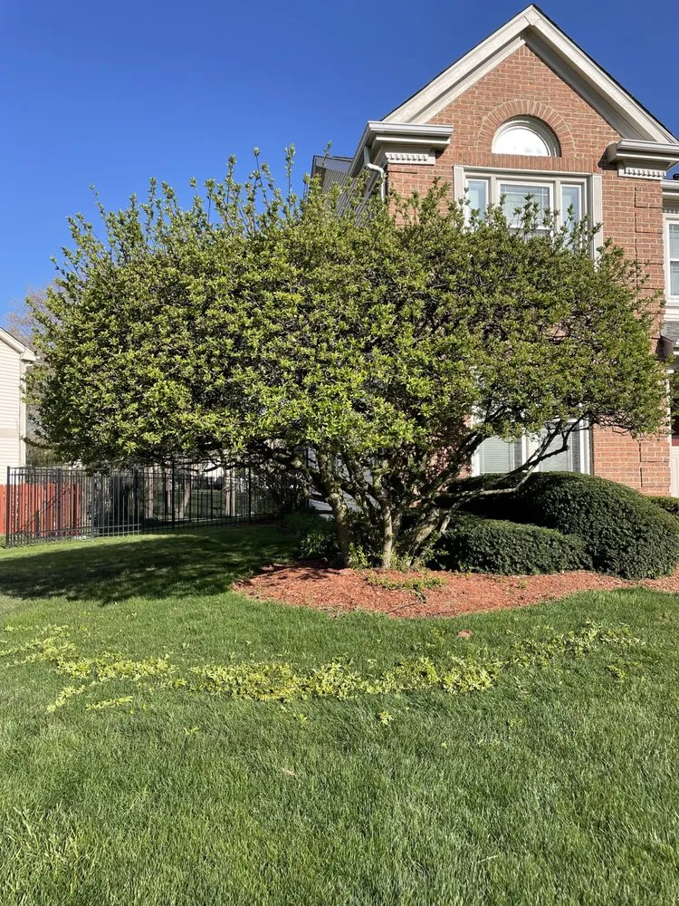 Local garden landscaping experts serving Harvard, IL - Florencio Lawn & Farm Services