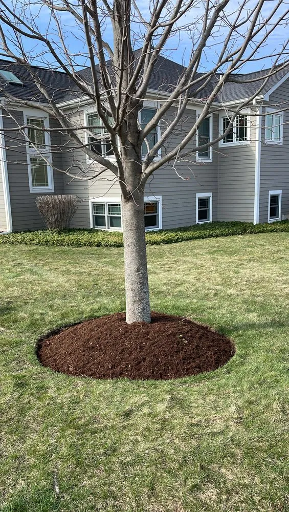 Local yard maintenance for beautiful yards in Harvard, IL by Florencio Lawn & Farm Services