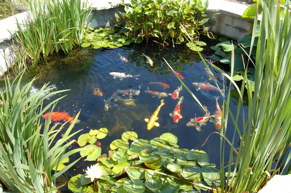 Expert outdoor landscaping in Salem, MA - Florentine Renaissance Masonry