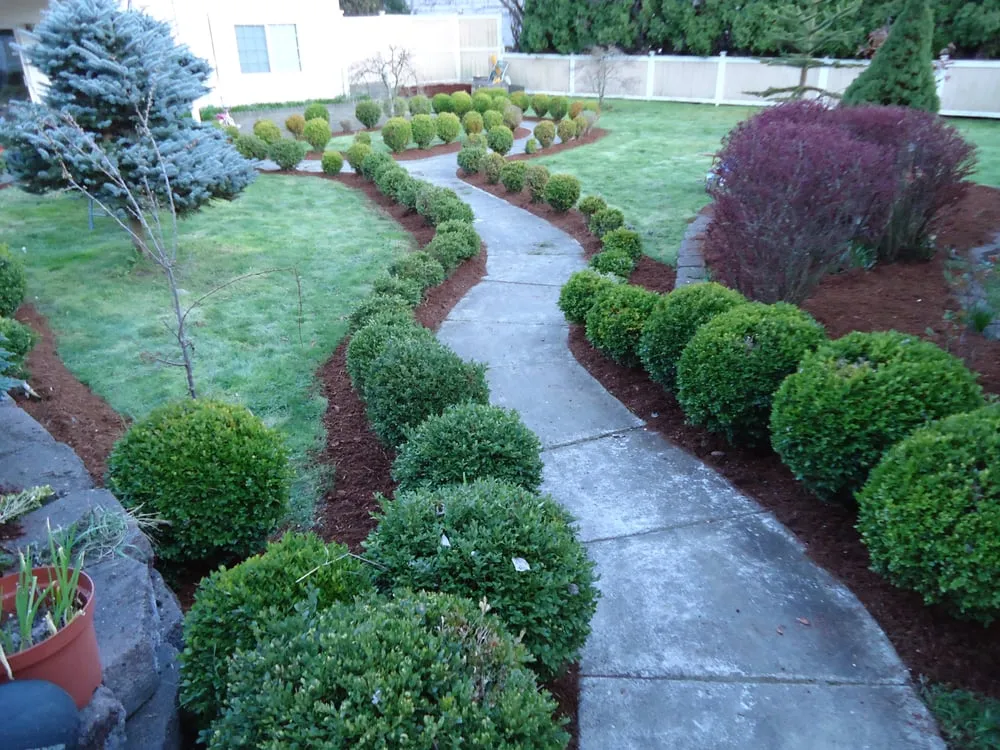 Professional residential landscaping in Bellevue, WA - Florentino Quintana Landscaping and Construction