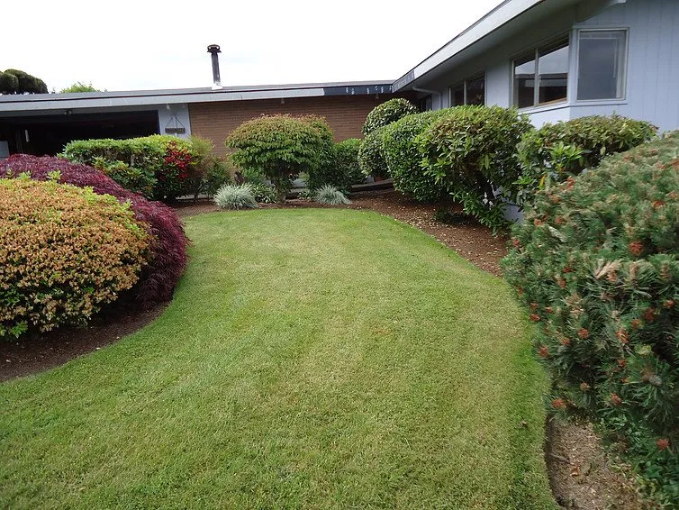 Custom yard cleanup service in Bellevue, WA - Florentino Quintana Landscaping and Construction
