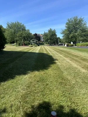 Flores Aldana Lawn Care