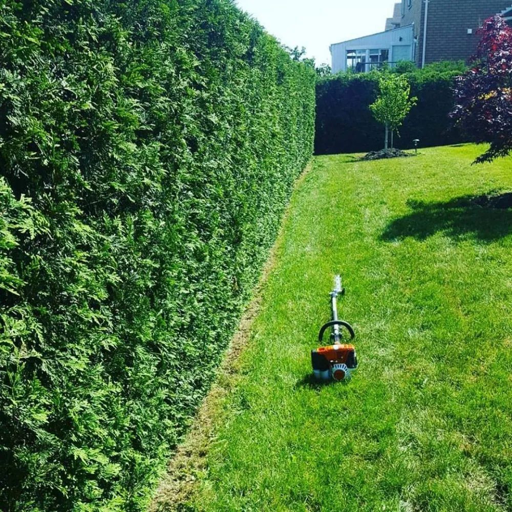 Affordable garden landscaping for residential properties across Perris, CA - Flores Bro's Flooring & Landscape