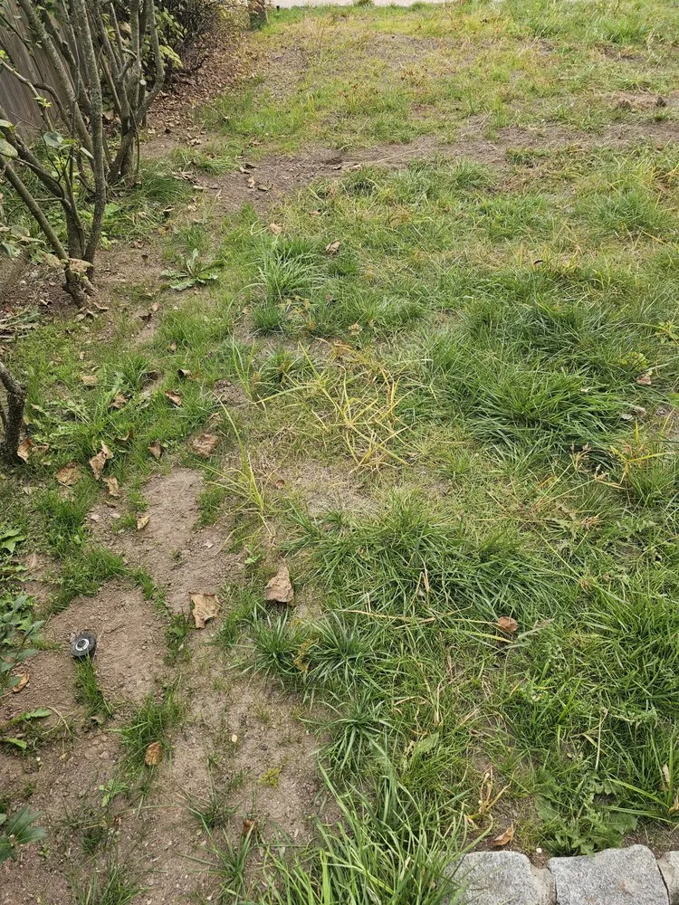 Trusted yard maintenance experts serving Englewood, NJ - Flores Brothers Landscaping