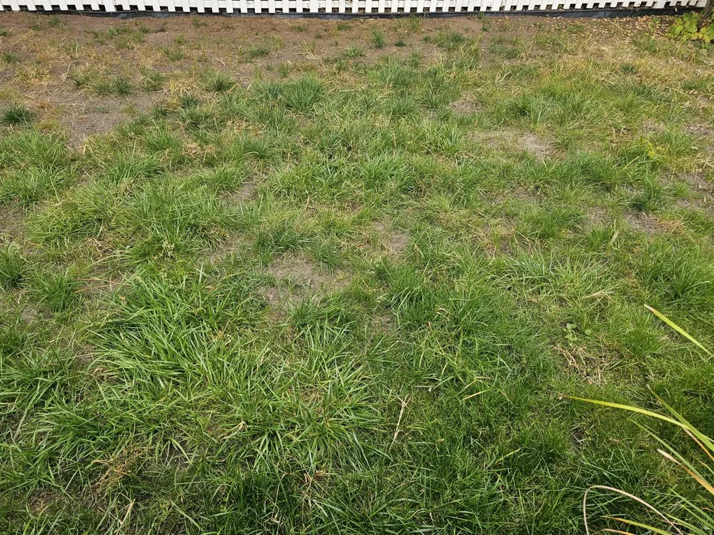 Trusted lawn care service experts serving Englewood, NJ - Flores Brothers Landscaping