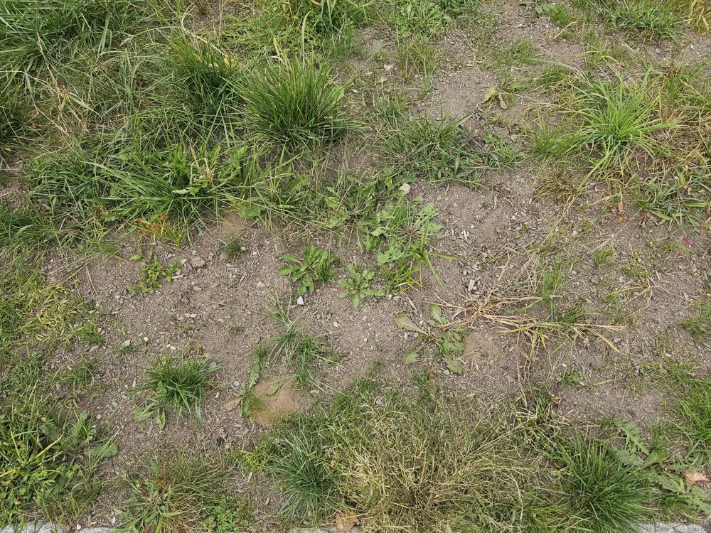 Custom yard maintenance for homes across Englewood, NJ - Flores Brothers Landscaping