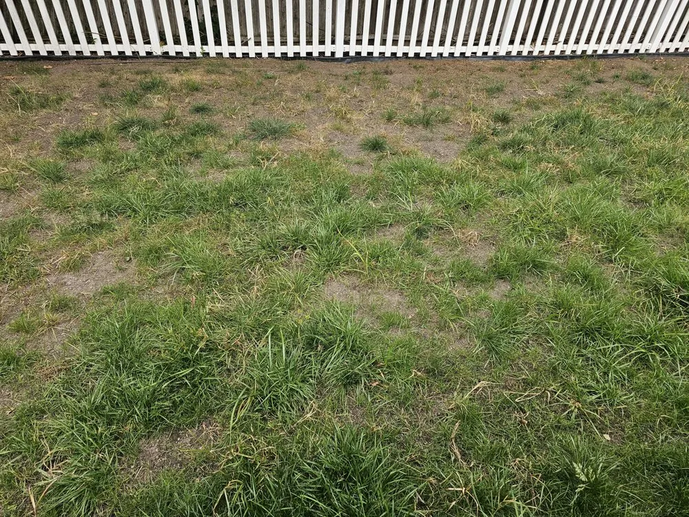 Top-rated garden landscaping in Englewood, NJ - Flores Brothers Landscaping