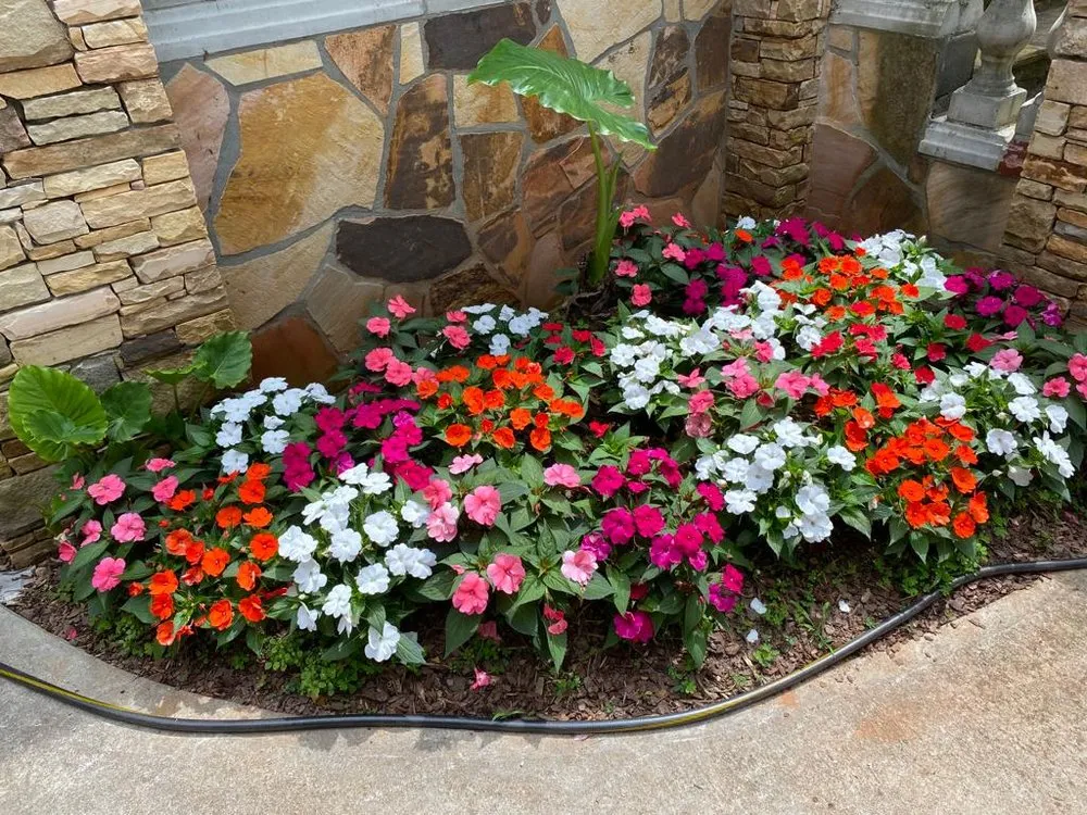 Professional lawn mowing service in Stonecrest, GA - Flores Brothers Landscaping