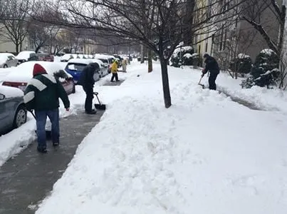 Local yard cleanup service in Silver Spring, MD - Flores Construction & Landscaping