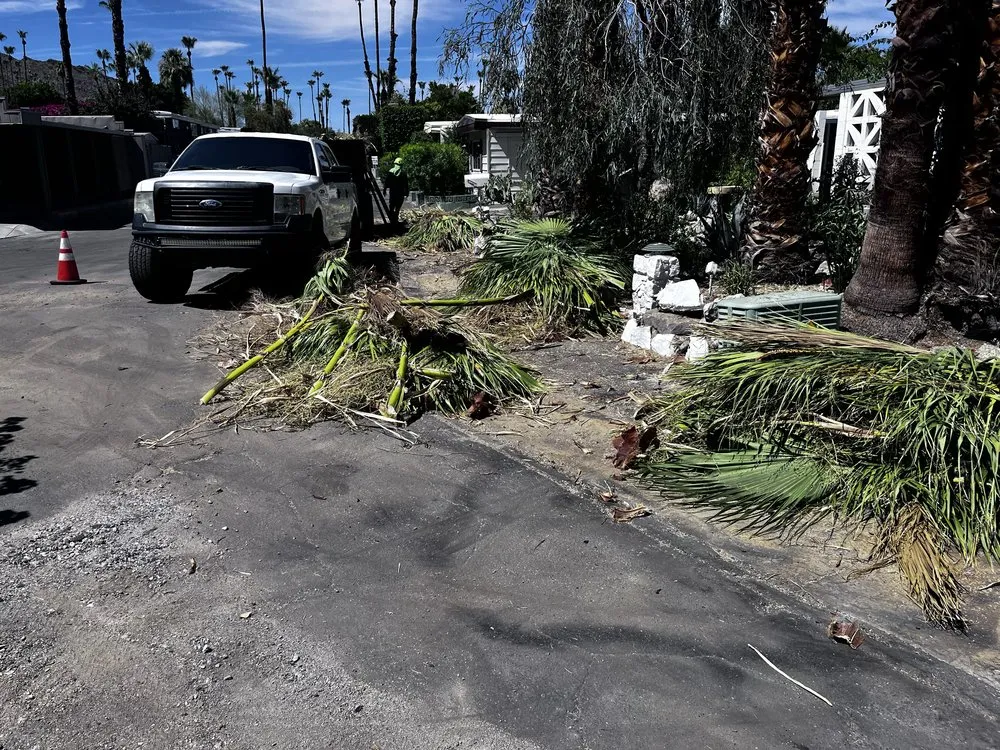 Custom lawn care service experts serving Palm Springs, CA - Flores Design & Arbor Care