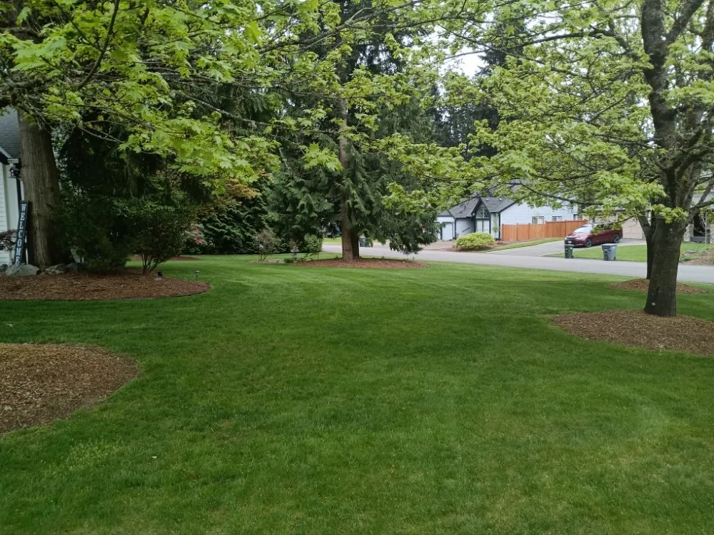 Top-rated residential landscaping in Bonney Lake, WA by Flores Family Lawn Care