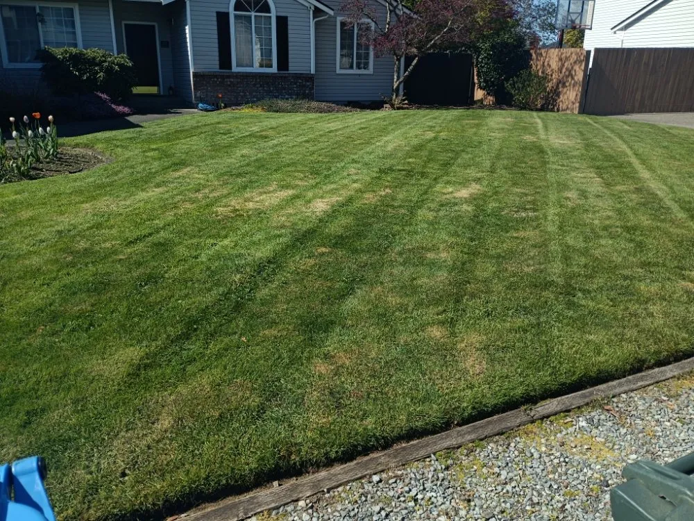 Expert landscape installation for year-round maintenance in Bonney Lake, WA by Flores Family Lawn Care