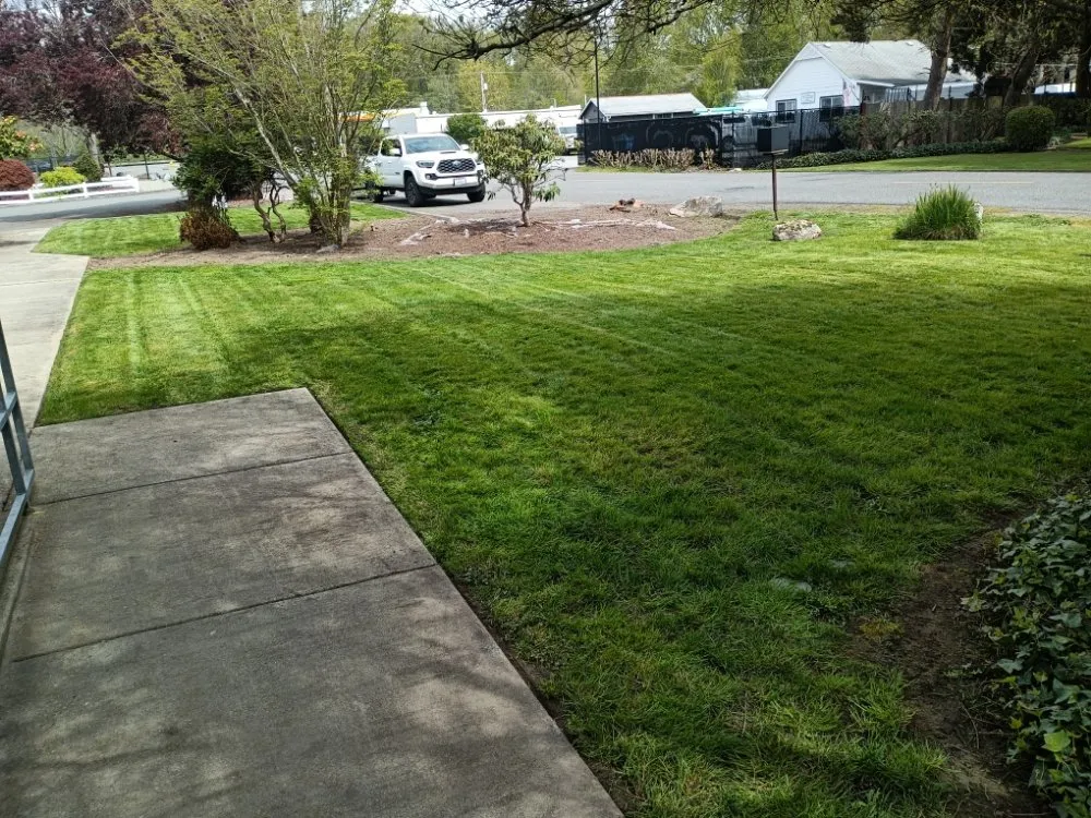 Expert yard cleanup service for residential properties across Bonney Lake, WA - Flores Family Lawn Care