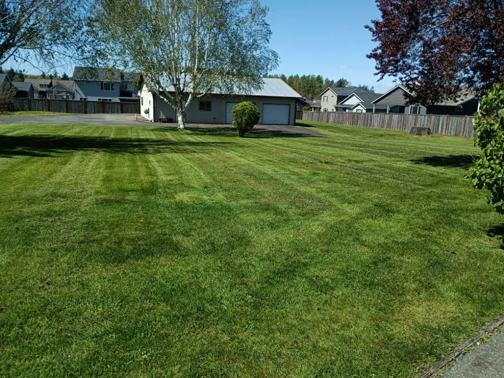Top-rated landscaping services experts serving Bonney Lake, WA - Flores Family Lawn Care