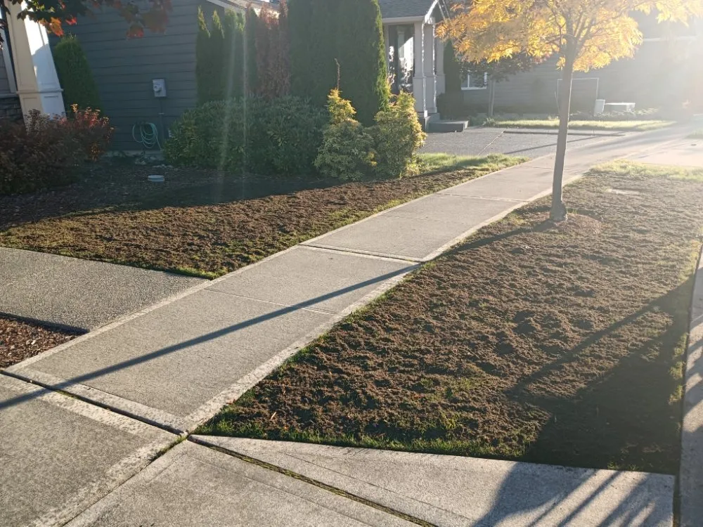 Custom residential landscaping in Bonney Lake, WA by Flores Family Lawn Care