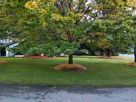 Flores Family Lawn Care Logo