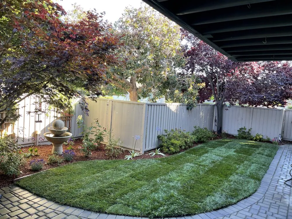 Custom landscape installation in South San Francisco, CA by Flores Garden & Landscape
