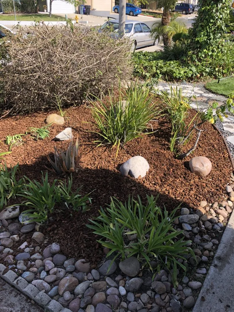 Local lawn care service in San Diego, CA by Flores Garden Landscapes