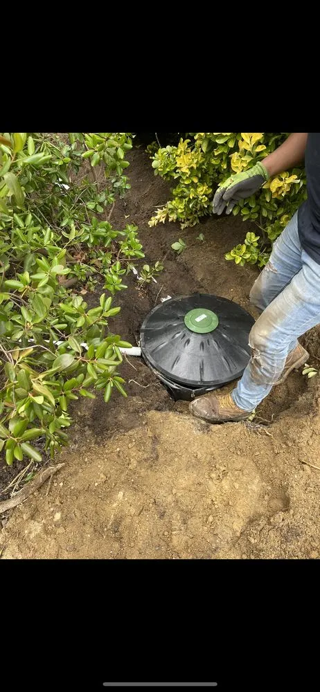 Affordable landscaping services for beautiful yards across Annapolis, MD - Flores Green Care Landscape