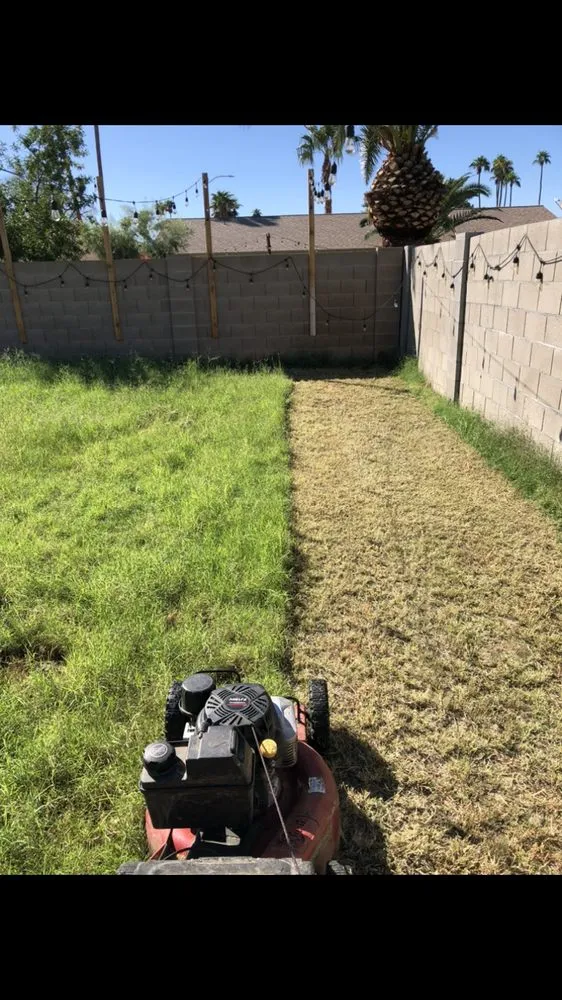 Professional landscape design in Mesa, AZ - Flores Hardscape