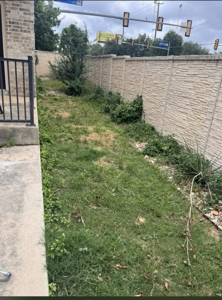 Top-rated lawn care service with custom design across San Antonio, TX - Flores Home Solutions