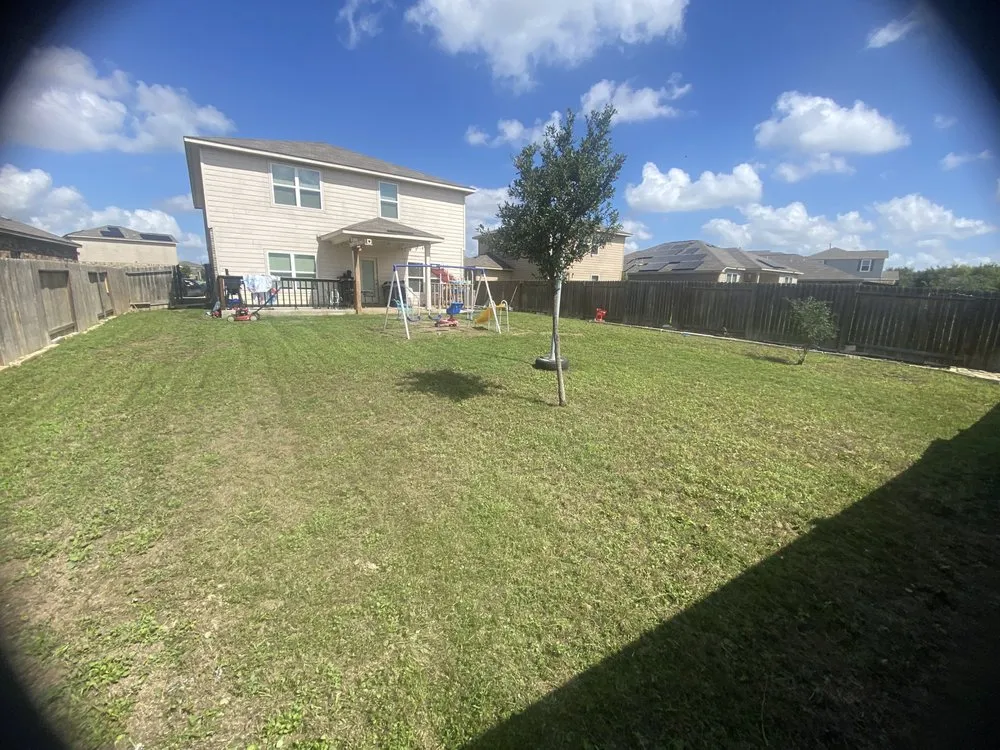 Affordable yard cleanup service for residential properties in San Antonio, TX by Flores Junk Removal