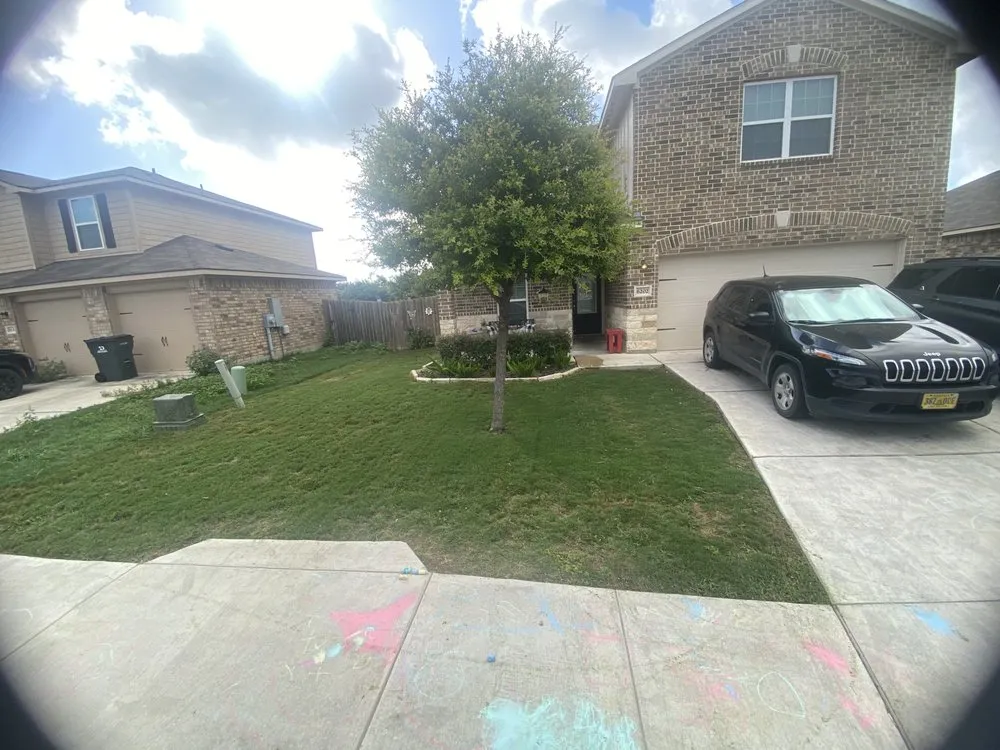 Local landscape design for year-round maintenance in San Antonio, TX by Flores Junk Removal