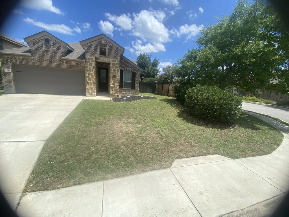 Custom lawn care service experts serving San Antonio, TX - Flores Junk Removal