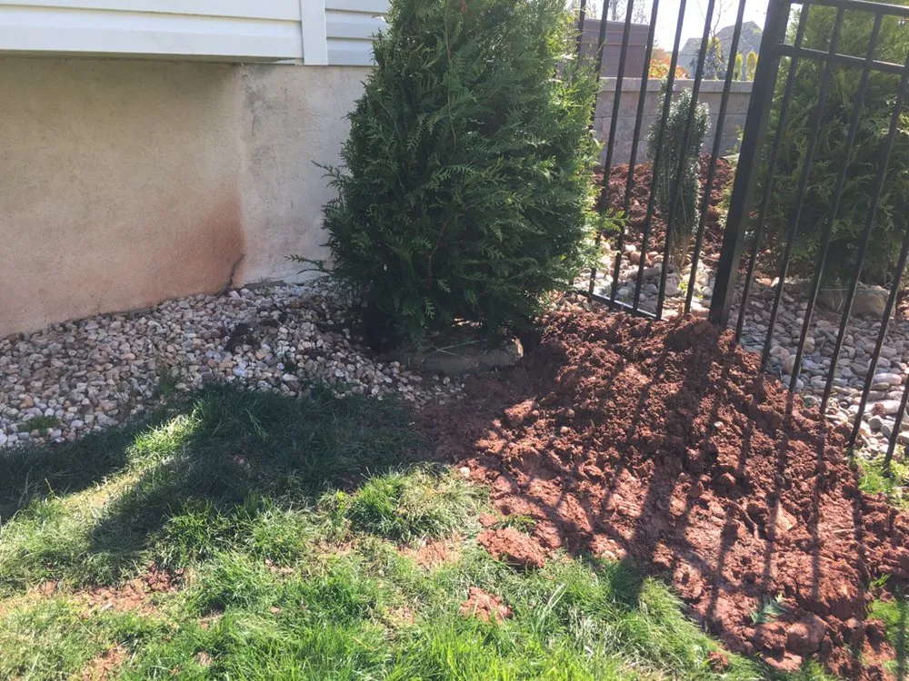Local yard cleanup service in Norristown, PA - Flores Lanadscaping Tree Service